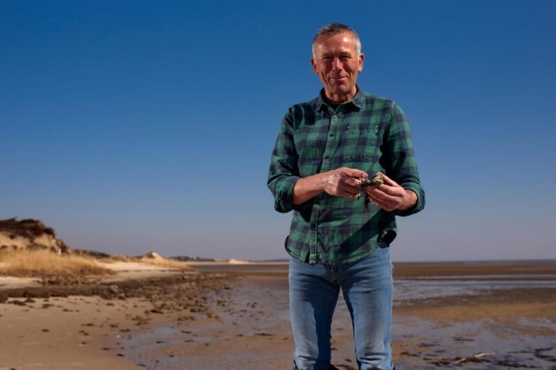 Sylt: Guided Mudflat Hike on the Island - The Importance of the Wadden Sea Ecosystem