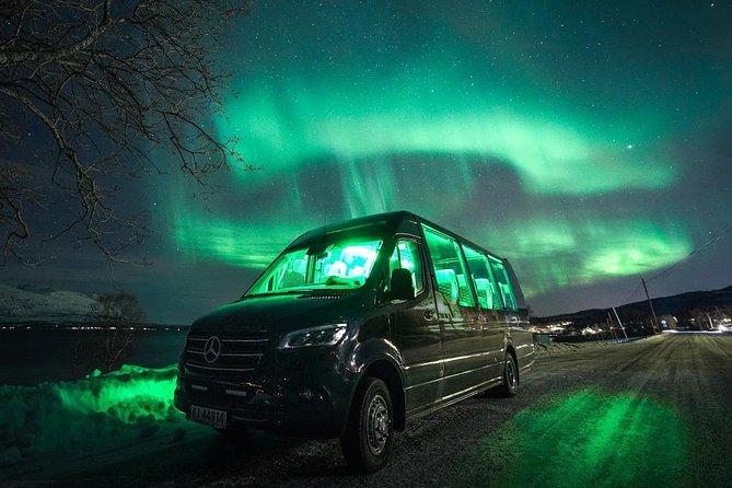 Symphony - Arctic Breeze, teamining up with nature. - Expert Guides with In-Depth Aurora Knowledge