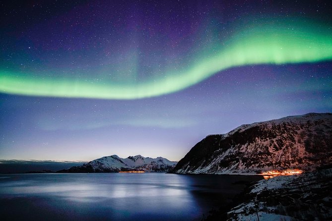 Symphony - Arctic Breeze, teamining up with nature. - Food, Warmth, and Camera Assistance During the Chase