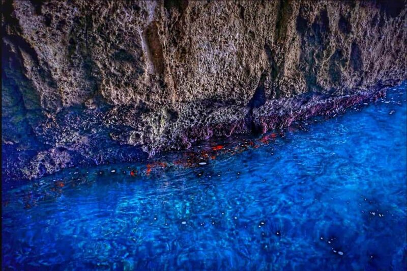 Syracuse: boat tour of sea caves and Ortigia, Papyrus Excursion - Comparing Similar Experiences