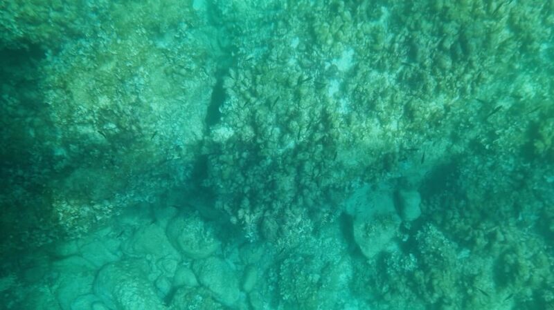 Syracuse: Coast and Sea Caves Full Transparent Boat Tour - Discover Siracusa’s Coast on the First Fully Transparent Boat