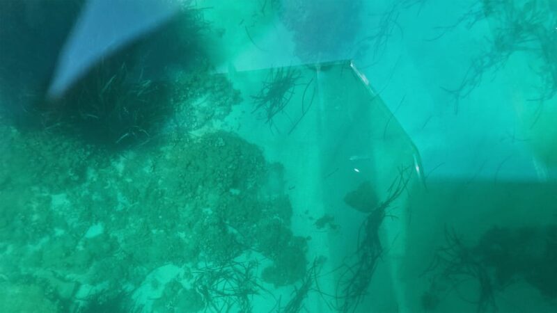 Syracuse: Coast and Sea Caves Full Transparent Boat Tour - The Skipper and Multilingual Guides