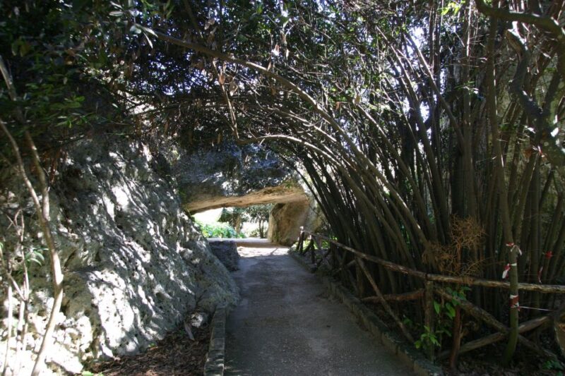 Syracuse: Neapolis Archaeological Park Small Group Tour - Inside the Legendary Ear of Dionysius