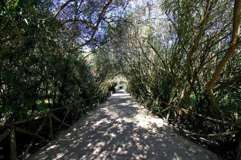Syracuse: Neapolis Archaeological Park Small Group Tour - The Altar of Hieron and Roman Amphitheater