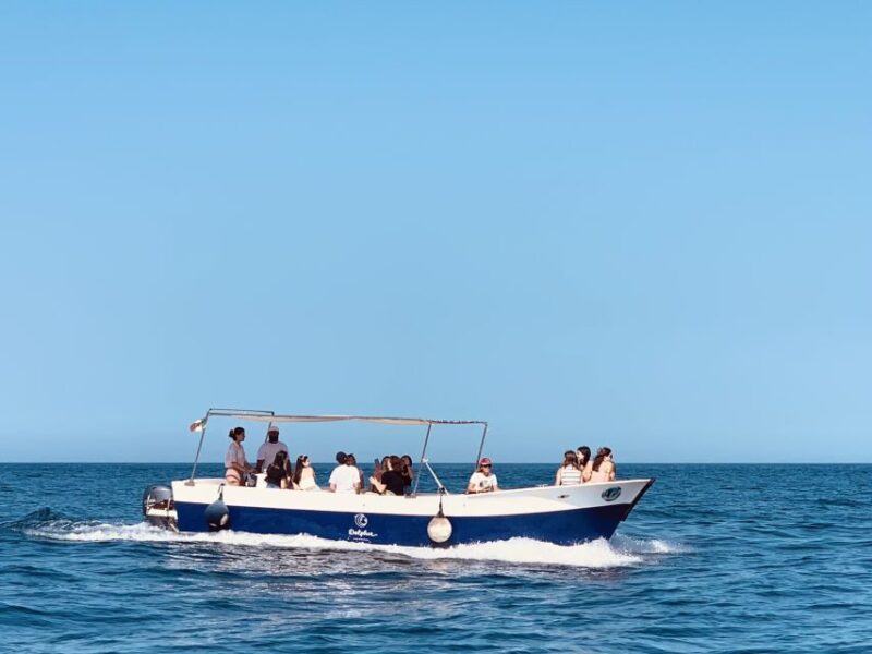 Syracuse: Pillirina, Ortigia, and Sea Caves Tour by Boat - Explore Syracuse from the Water with the Pillirina, Ortigia, and Sea Caves Boat Tour