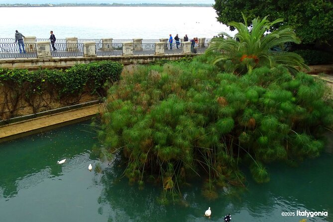 SYRACUSE private tour: discover the charm of Ortigia! - The Benefits of a Private Guide Experience