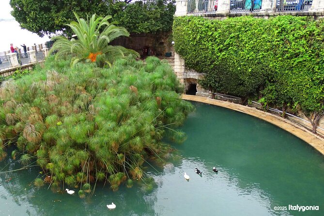 SYRACUSE private tour: discover the charm of Ortigia! - Logistics and Practical Details