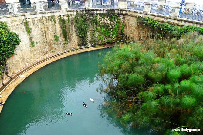 SYRACUSE private tour: discover the charm of Ortigia! - Comparing Similar Experiences