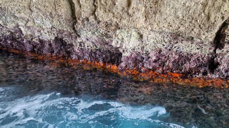 Syracuse:Snorkeling+Pillirina, Ortigia & sea caves boat tour - Snorkeling and Relaxing Opportunities on Board