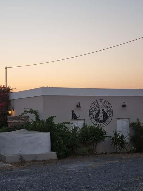 Syros: Countryside Hike with Wine Tasting in a Vineyard - Walking Through Vineyard Landscapes and Cycladic Countryside