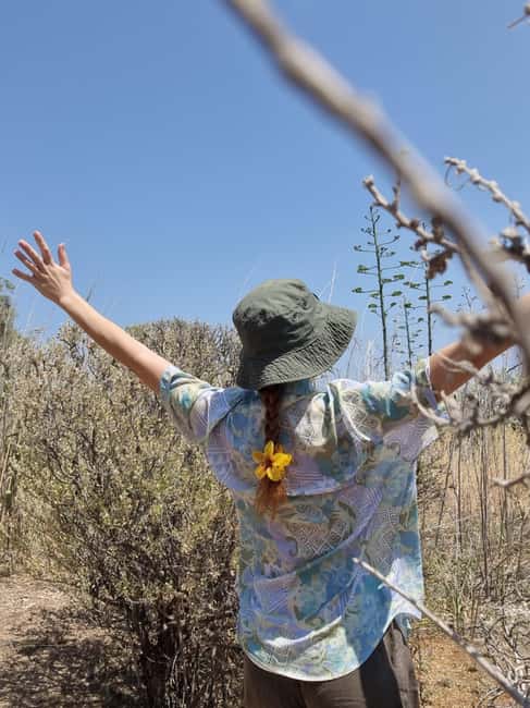 Syros: Countryside Hike with Wine Tasting in a Vineyard - Wine Tasting at a Family-Run, Award-Winning Vineyard