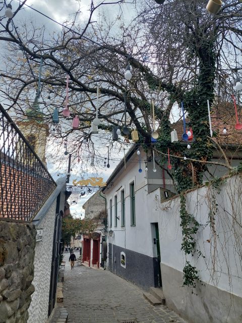 Szentendre: Half-Day Private Tour from Budapest - Key Points