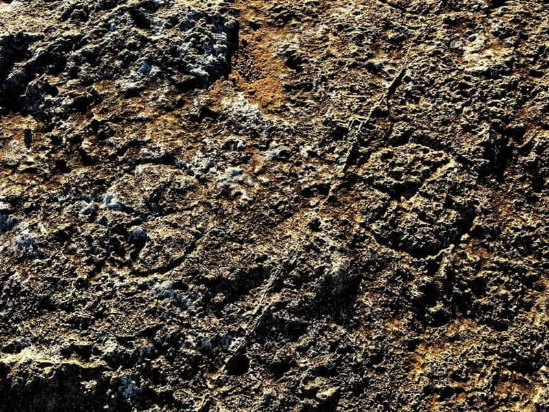 Tabaccara Promontory Tour - Explore Lampedusa’s Untouched Wilderness