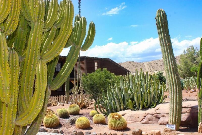 Tabernas: MiniHollywood Oasys Entry Ticket & Optional Buffet - Explore the Zoological Reserve