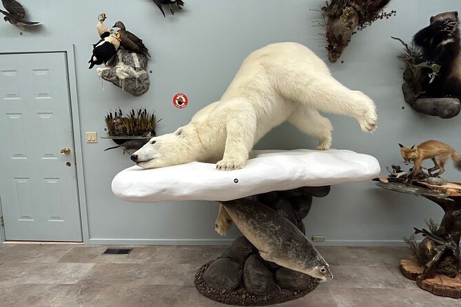 Tablet Tour in Wildlife Gallery - Key Points