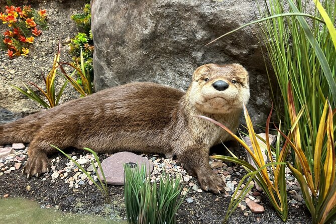 Tablet Tour in Wildlife Gallery - How the Tablet Enhances the Wildlife Experience