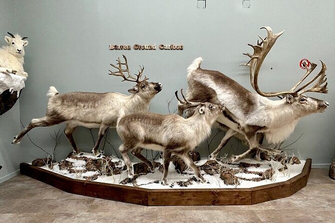 Tablet Tour in Wildlife Gallery - The Art of Taxidermy and Storytelling by Greg and Dean Robertson