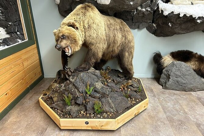 Tablet Tour in Wildlife Gallery - Why Choose the Tablet Tour in Wildlife Gallery