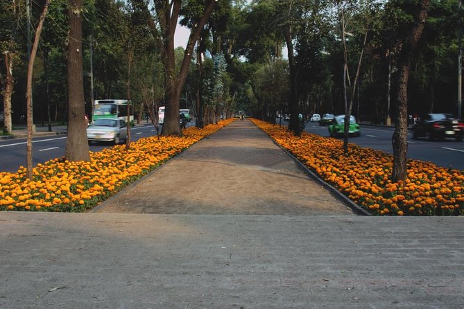 Taco Culture Bike Tour with 4 Taco Stops - Key Points