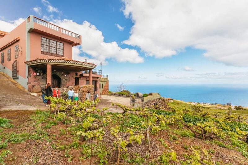 Tacoronte: Guided Winery Tour with Wine and Cheese Tastings - Practical Details: Meeting, Accessibility, and Cancellation