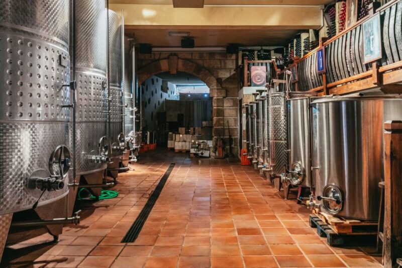 Tacoronte: Guided Winery Tour with Wine and Cheese Tastings - What Makes This Tour Stand Out