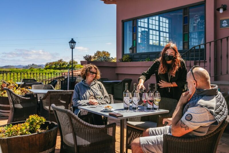 Tacoronte: Guided Winery Tour with Wine and Cheese Tastings - Final Thoughts: A Must-Do for Wine and Cheese Enthusiasts in Tenerife