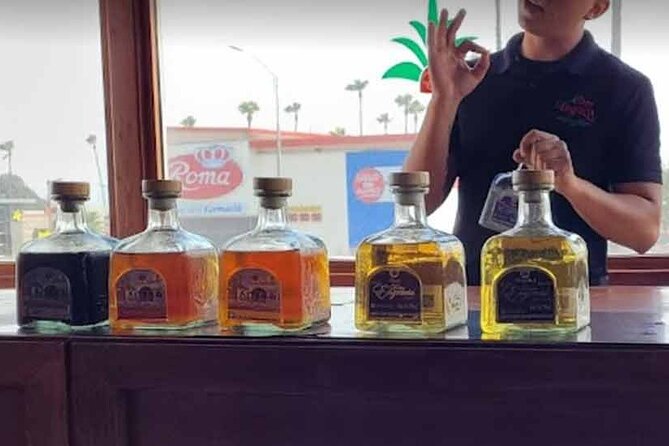 Tacos, Tequila, Cerveza - A Private Tour of Ensenada - Craft Beer at Planta de Cervecería Aguamala