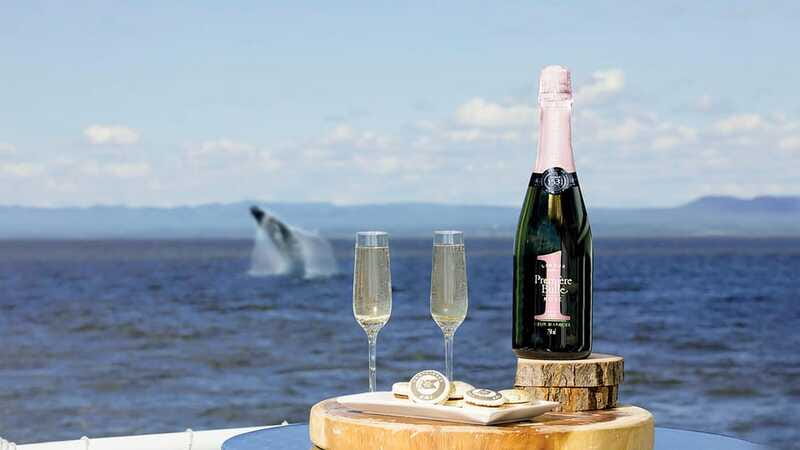 Tadoussac/Charlevoix: VIP Lounge OR UpperDeck Whale Watching - Timing, Pacing, and Tour Schedule
