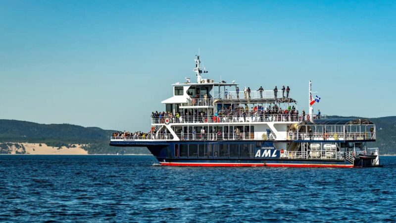 Tadoussac/Charlevoix: VIP Lounge OR UpperDeck Whale Watching - What to Expect During the Whale Watching