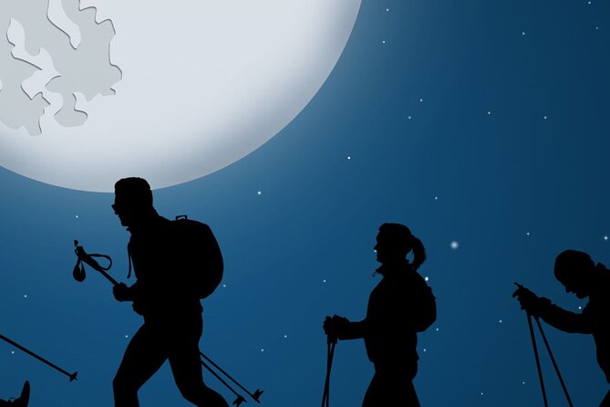 Tahoe National Forest Moonlight Snowshoe Tour Under a Starry Sky - The Beauty of the Night Sky and Constellation Viewing