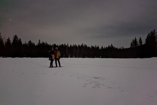 Tahoe National Forest Moonlight Snowshoe Tour Under a Starry Sky - Who Will Love This Nighttime Snowshoe Tour