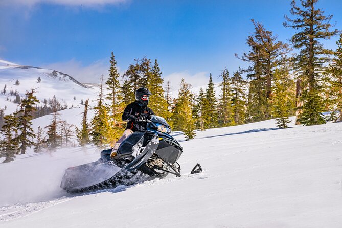 Tahoe Summit Snowmobiling Tours - Dive into the Scenic Adventure of Tahoe Summit Snowmobiling Tours
