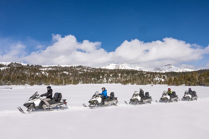 Tahoe Summit Snowmobiling Tours - What to Expect at Markleeville and Lake Tahoe Stops
