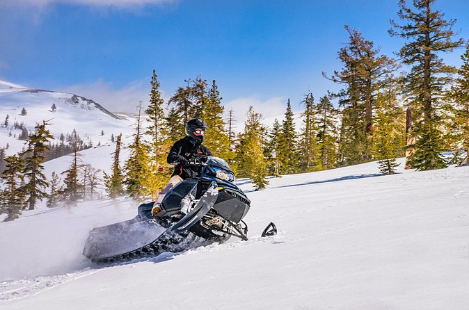 Tahoe Summit Snowmobiling Tours - Customer Feedback: Strengths and Areas for Improvement