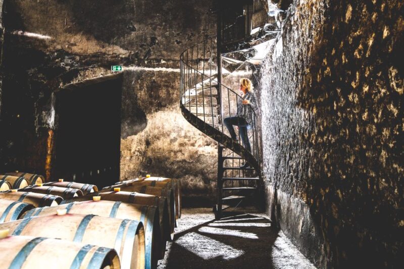 Taillan-Médoc: Château Visit and Wine Tasting in Bordeaux - Explore a Family-Run Château in Taillan-Médoc with Expert Guidance