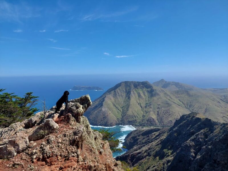 Tailored Trek: Your adventure, Your Way - Explore Porto Santo on a Custom-Tailored Trek for $63
