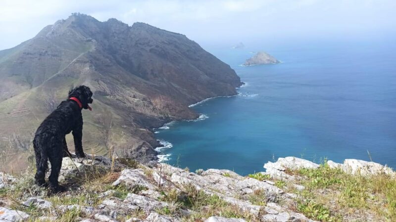 Tailored Trek: Your adventure, Your Way - What Sets This Tour Apart from Others