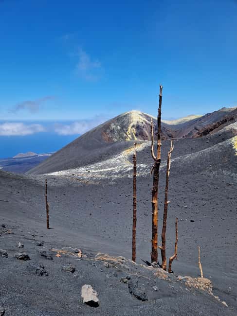Tajogaite Volcano: the official route with a certified local guide - Discover the Tajogaite Volcano with Certified Local Guides
