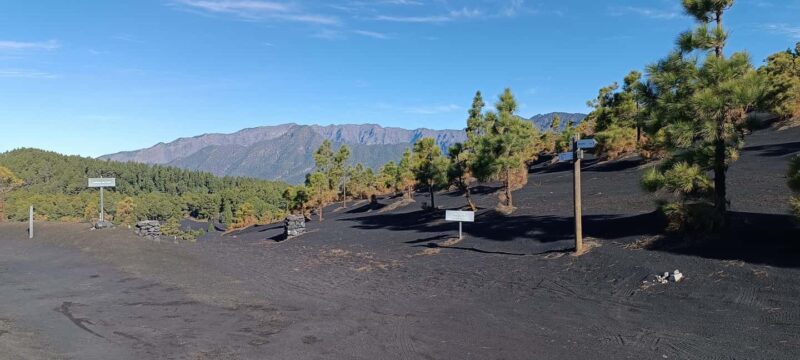 Tajogaite Volcano: the official route with a certified local guide - Physical Requirements and Accessibility Considerations