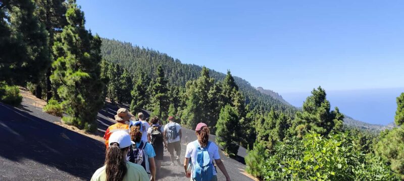 Tajogaite Volcano VIP Experience: Private Tour with a Certified Guide - Accessibility and Comfort During the Tour