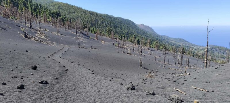 Tajogaite Volcano VIP Experience: Private Tour with a Certified Guide - Languages and Personalization Options