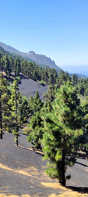 Tajogaite Volcano VIP Experience: Private Tour with a Certified Guide - Practical Details: Timing, Cancellation, and Group Size