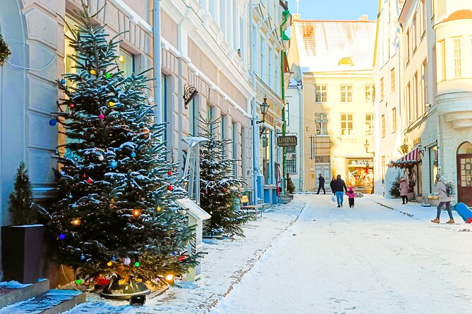 Tales of Tallinn 4 Hour Sightseeing Tour - Scenic Coastal Views at Pirita and the Olympic Village