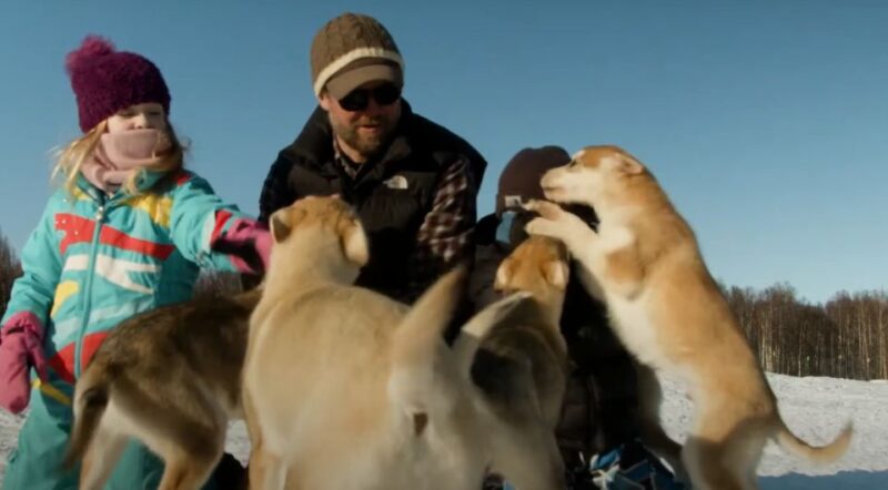 Talkeetna: Alaskan Winter Dog Sledding Experience - Playful Interactions with Sled Dog Puppies