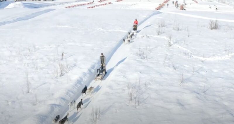 Talkeetna: Alaskan Winter Dog Sledding Experience - Practical Tips for Participants