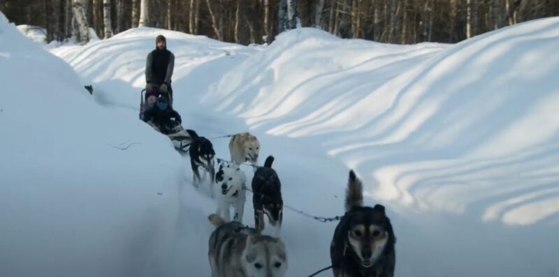 Talkeetna: Alaskan Winter Dog Sledding Experience - Who Will Enjoy This Experience Most