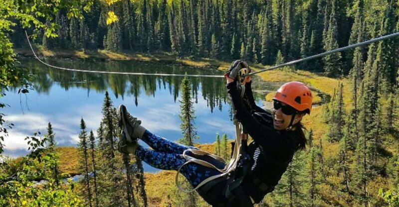Talkeetna: Denali Zipline Tours - Scenic Drive to the Forested Ridges Above Susitna River Valley