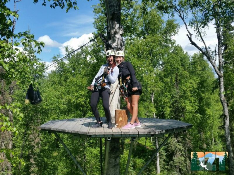 Talkeetna: Denali Zipline Tours - Physical Requirements and Tour Suitability