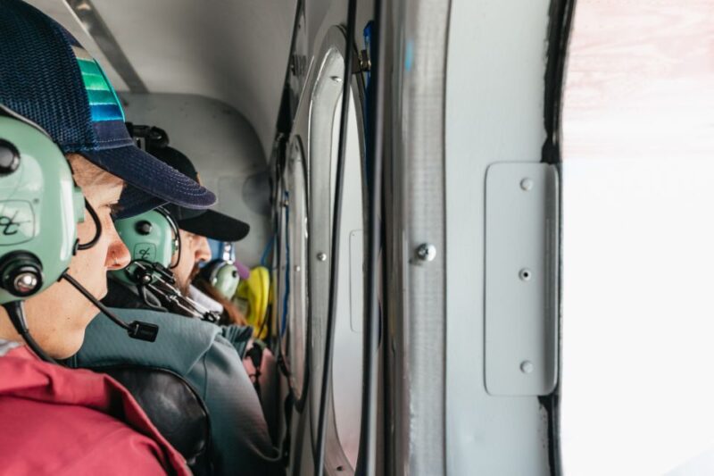 Talkeetna: Grand Denali Flight with Optional Glacier Landing - The Flight Experience and Pilot Expertise