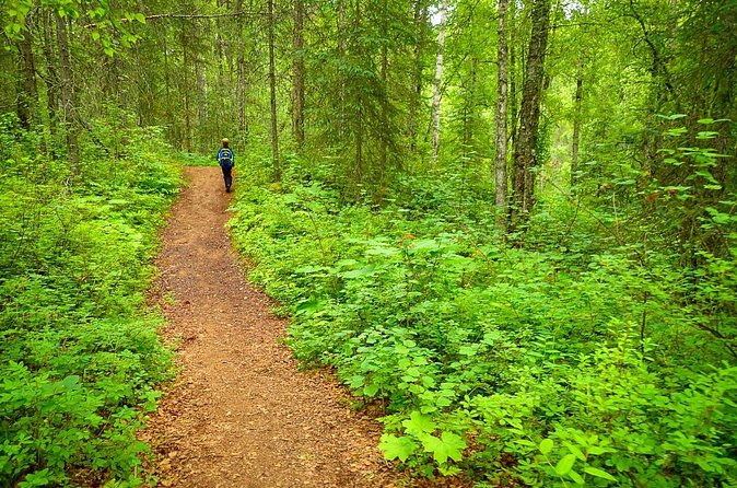 Talkeetna Lakes Hike Guided by a Naturalist - Logistics, Group Size, and Accessibility